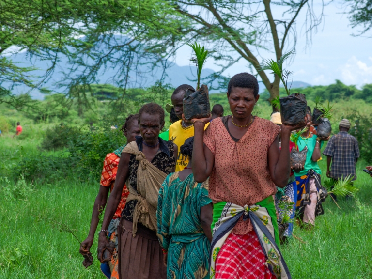 Mitglieder einer lokalen Kooperative pflanzen Baumsetzlinge in den Gambella-Feuchtgebieten, Nordkenia – und stärken so die Widerstandsfähigkeit des Ökosystems.