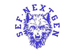 Logo SEF.NEXTGEN