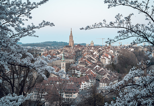 Sicht auf Dächer der Altstadt in Bern durch Kirschblüten vom Rosengarten