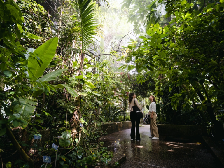 Botanical Gardens © Bern Welcome
