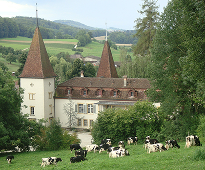 Bild des Schlosses Münchenwiler